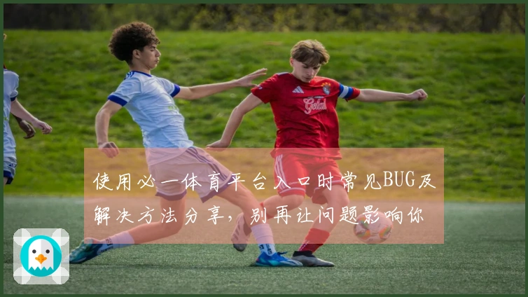 使用必一体育平台入口时常见BUG及解决方法分享，别再让问题影响你的游戏体验！