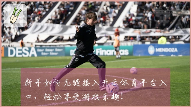 新手如何无缝接入开云体育平台入口，轻松享受游戏乐趣！
